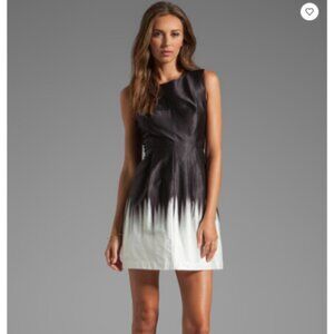 Milly Ombre Painting Coco Dress